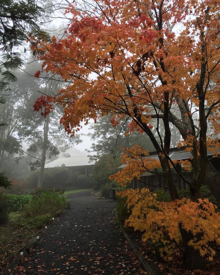 布里加东山林小屋 Haunted Hills 外观 照片