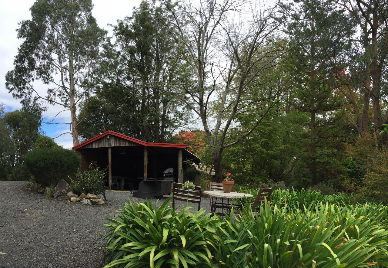 布里加东山林小屋 Haunted Hills 外观 照片