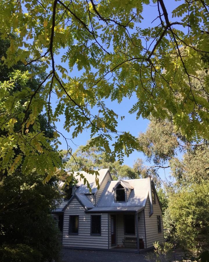 布里加东山林小屋 Haunted Hills 外观 照片