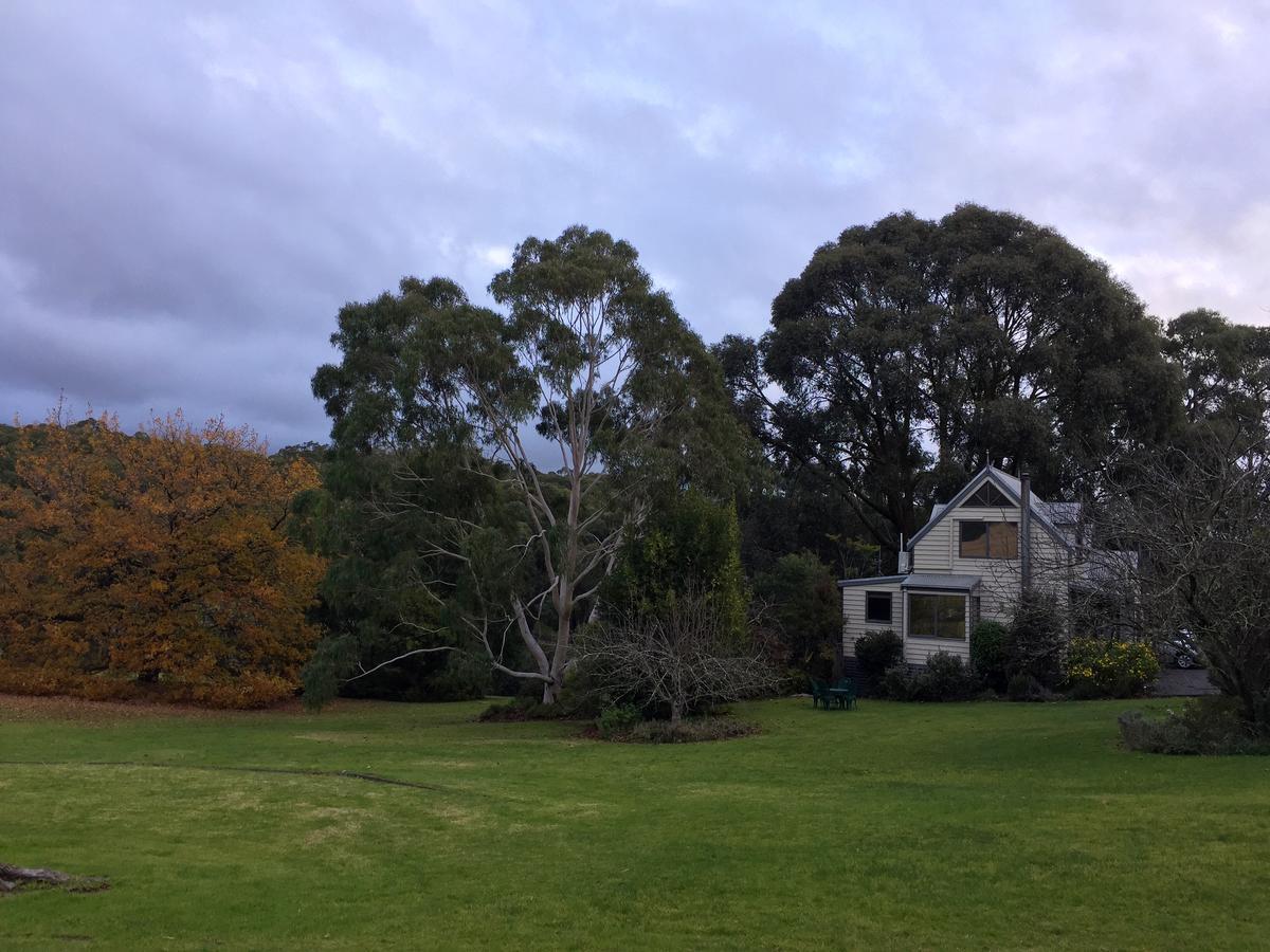 布里加东山林小屋 Haunted Hills 外观 照片